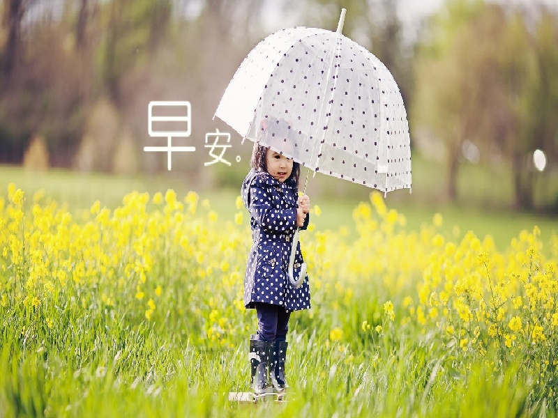 天津试管张云山,鲜花试管插瓶