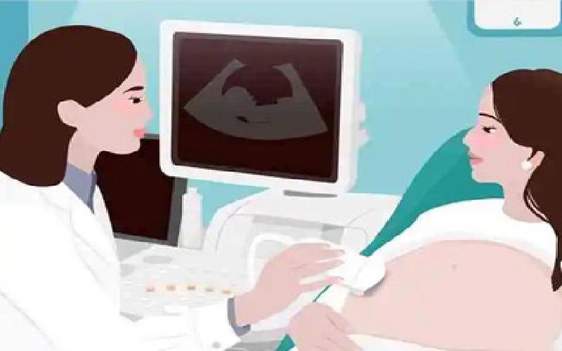 试管移植吃党参代生